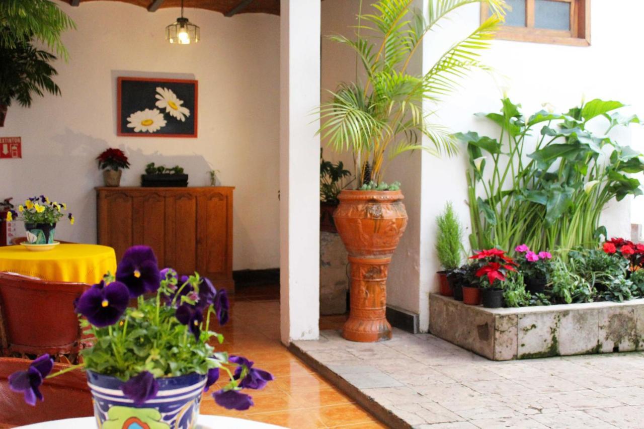 Las Margaritas Hotel Posada 塔帕尔帕 外观 照片